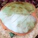 Toad Abode Frog House For Green Gardening Garden Leaf Unique Garden Art Pottery Garden Decor