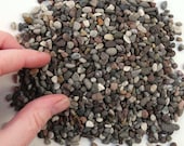 Miniature Red Blend of Pebbles for Miniature Garden Patios, Paths, Terrariums, Mini Fairy Garden, 3lbs