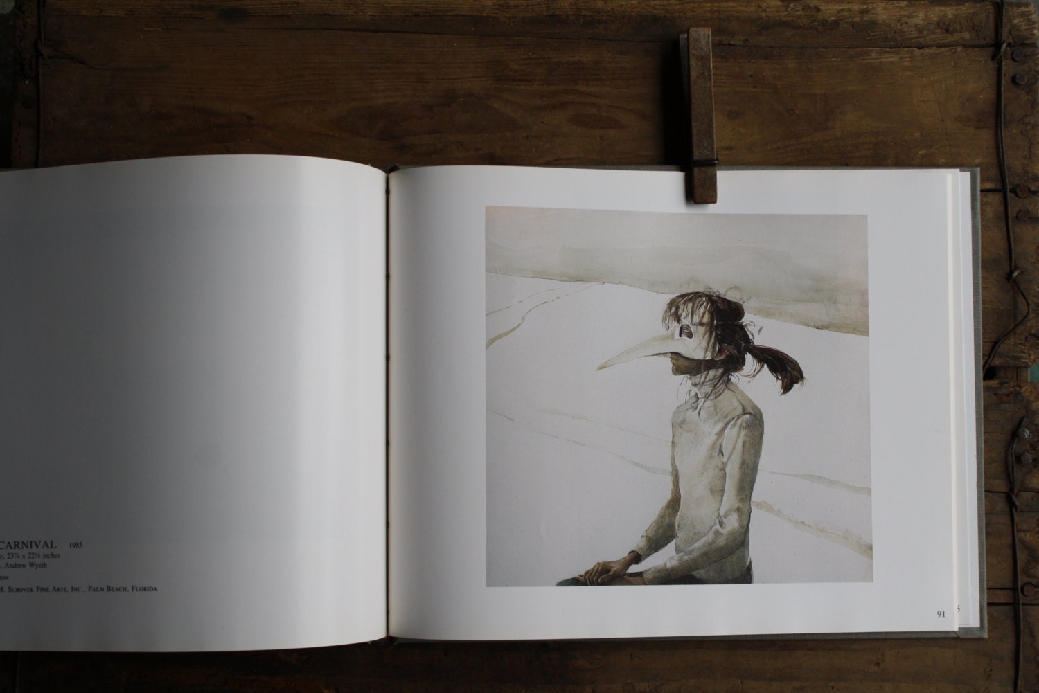 Andrew Wyeth art book