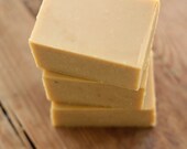 Ultimate Travel Soap, excellent for skin hair and scalp, one large 6 oz. bar