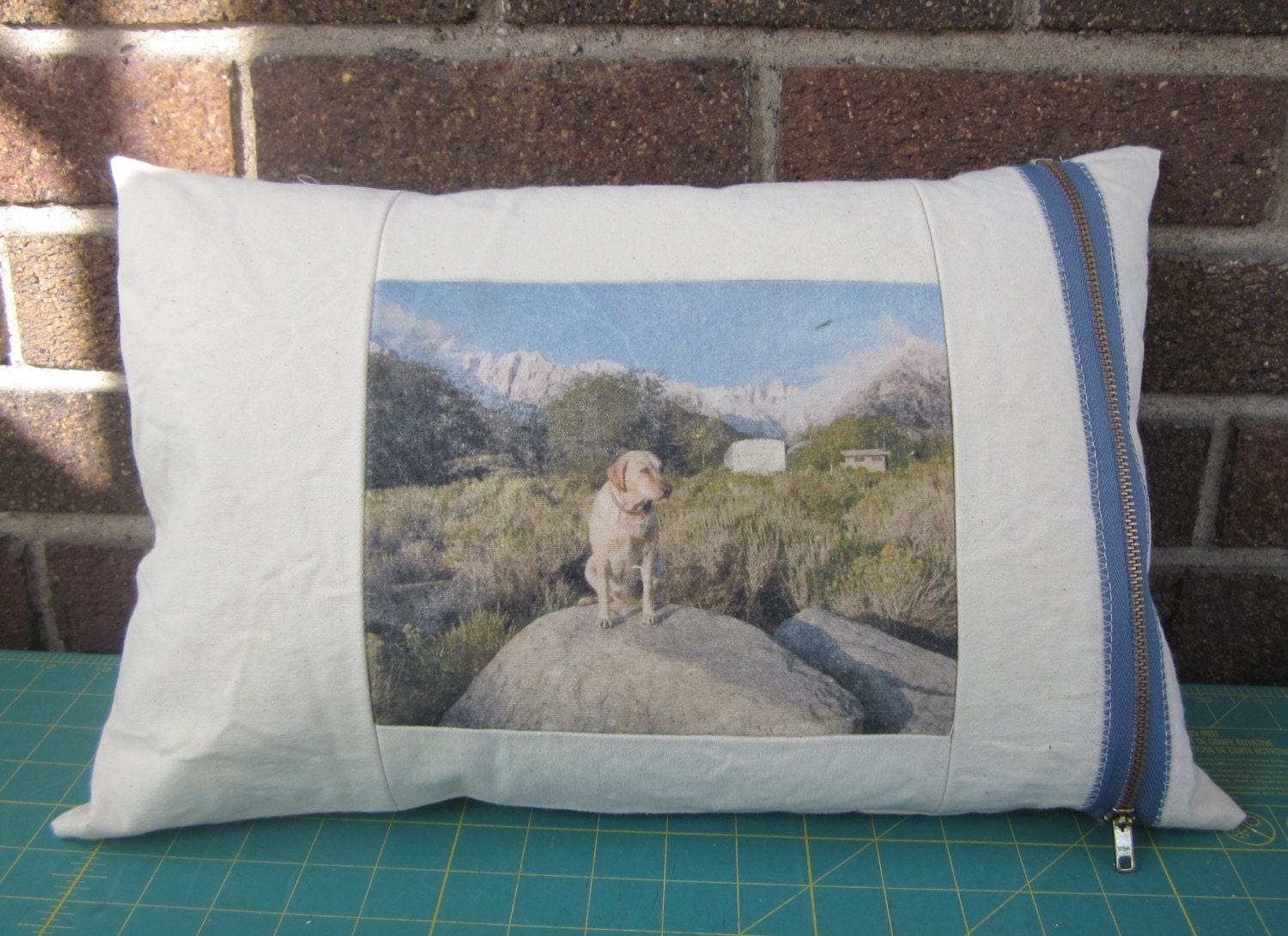 custom pet portrait pillow (with your photo, of course)