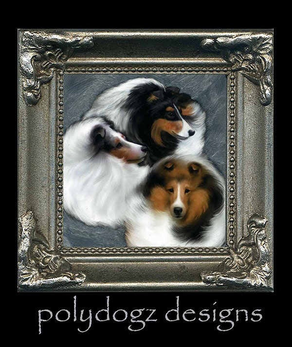 minature framed Sheltie/Shetland Sheepdog print