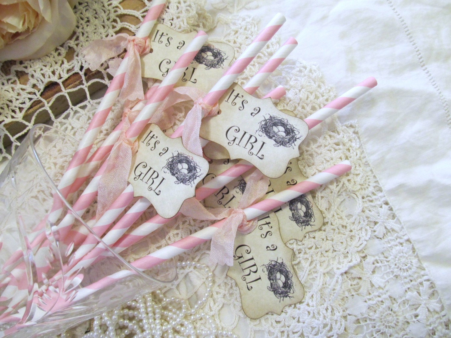 Baby Shower It's a Girl Nest Paper Party Straws with Tags - Choice of Straw and Ribbon Colors - Set of 18
