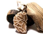 Beach Stone Pebble - Extremely Rare Fossil Chain Coral Pendant Jewelry Bead - "Unchained Melody" by StoneMe