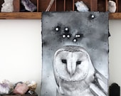 Constellation Art Original Drawing Ink Painting Noctua the Little Owl