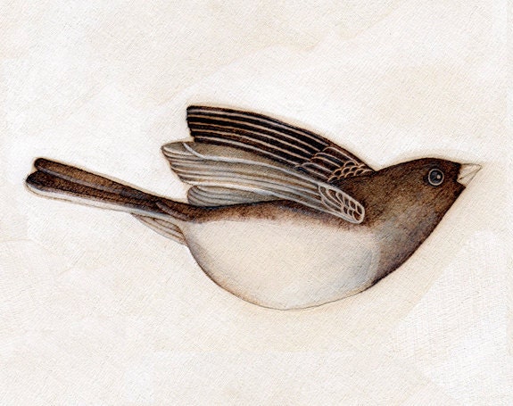 bird art natural history neutral sepia print - TheHauntedHollowTree