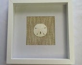 Sand Dollar Wall Hanging Natural Linen White Frame