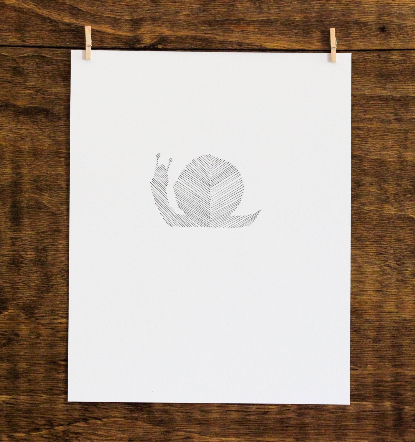 Chevron Snail-  Original 8x10 Drawing