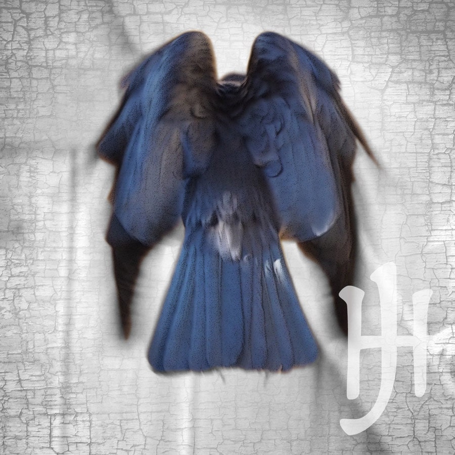Luminous Crow Ascends with Antique Silvery Grey Texture - Signed Fine Art Photograph by June Hunter