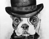 Original Drawing in Graphite and Charcoal-- Boston Terrier