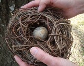 Faux Birds Nest,  Woven Rustic Outdoors, Wild Honeysuckle