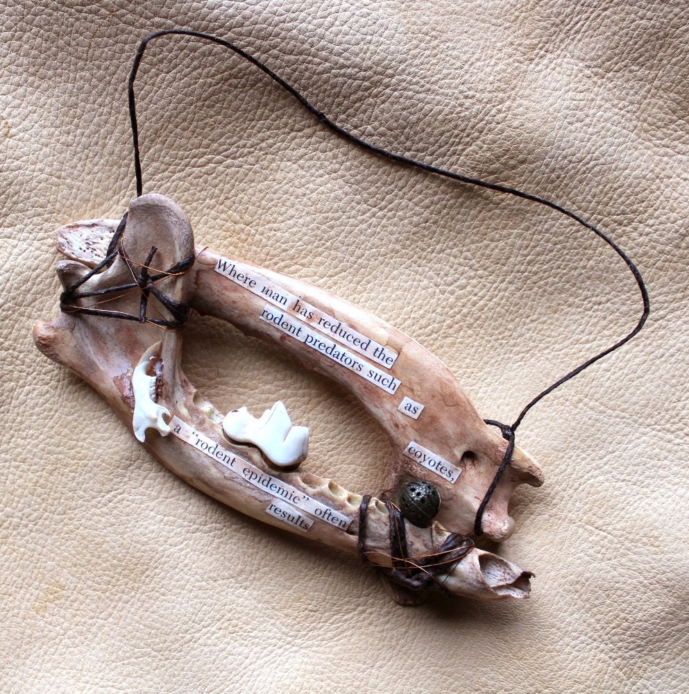 The Balance of Predator and Prey - real coyote and mouse jaw wall hanging with decoupage - totem nature shrine