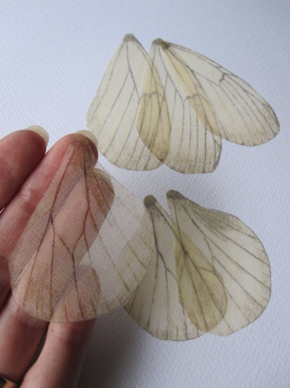Light - IVORY Butterfly Wings of Silk Organza