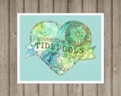 I Love Exploring Tidepools With You - art print