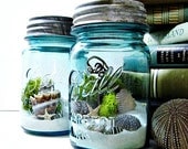 Upcycled Mason Jar Terrarium / Antique Blue Ball Mason Jar / Wedding Table Decor / Air Plant / DIY Terrarium Kit