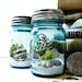 Upcycled Mason Jar Terrarium / Antique Blue Ball Mason Jar / Wedding Table Decor / Air Plant / DIY Terrarium Kit
