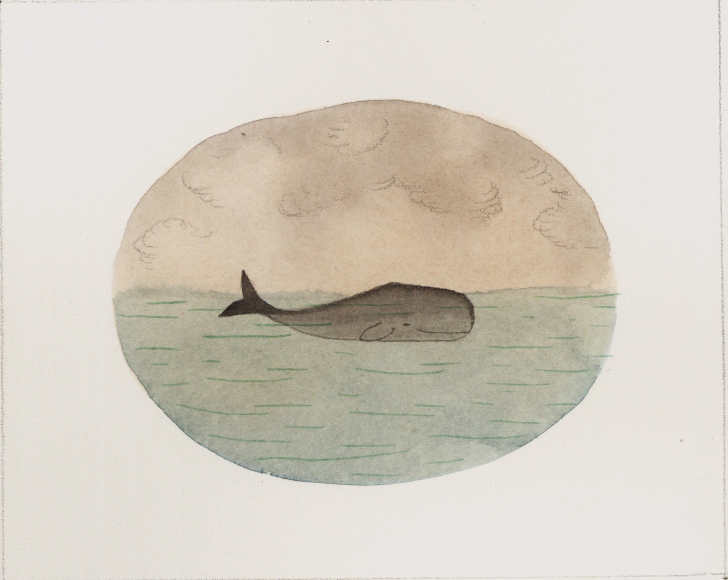 Whale 14