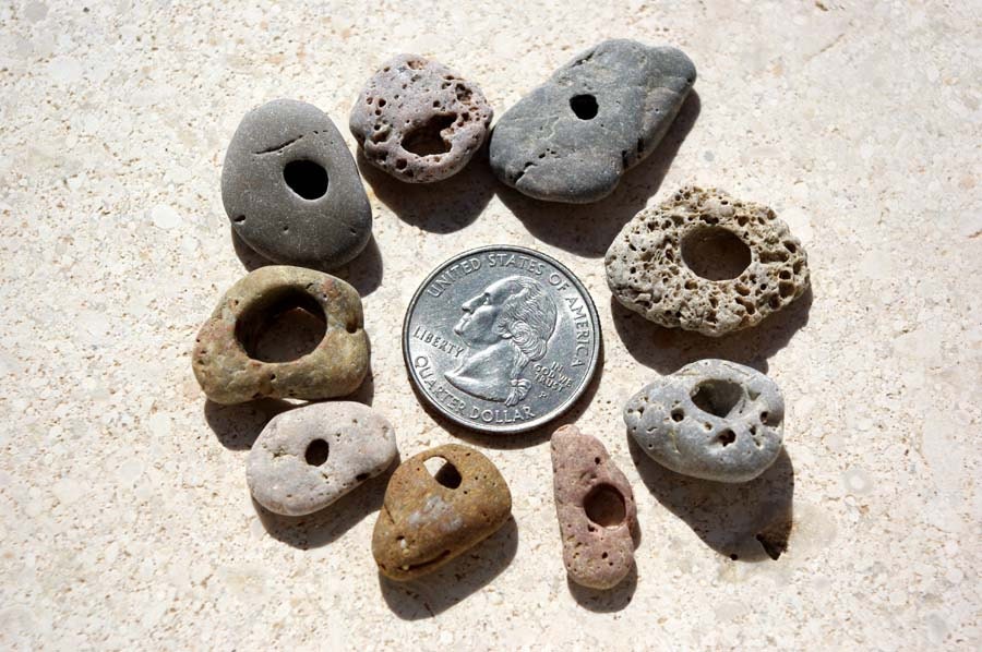 Genuine holey sea stones.