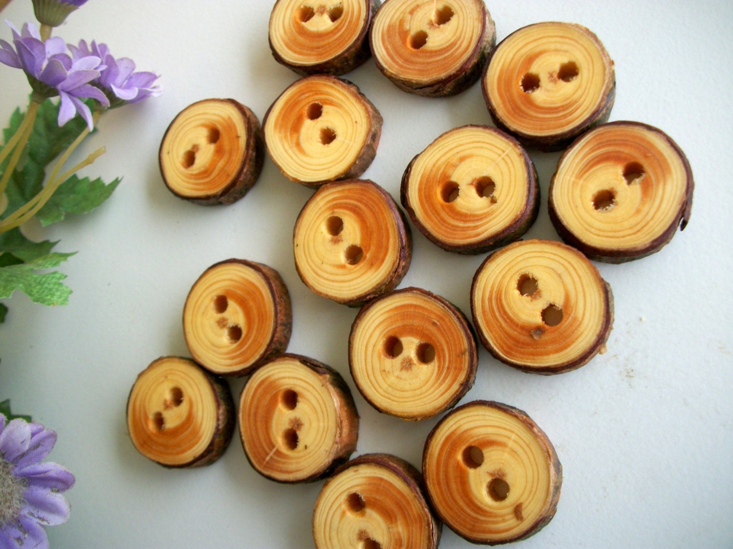 Wooden Buttons 16 Scotch Pine Tree Branch Buttons - 1 inch..25.4 mm  for Fiber Projects, Pillows, Cup Holders, Hats