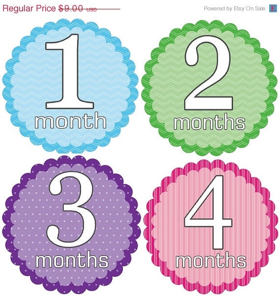 ON SALE Monthly Baby Bodysuit Growth Stickers - Sweet & Simple - Scallop Circles for Girls