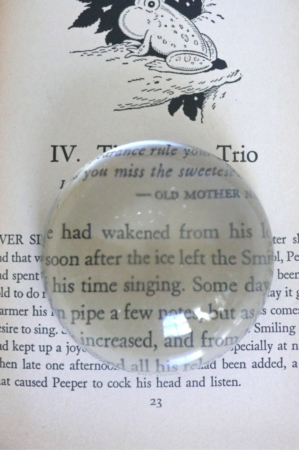 Magnifying Paperweight