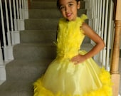 Modern Chick Costume for Little Girl Size 6 - 9