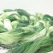 Faux Cashmere Vegan Roving Hand Painted Combed Top Spinning or Blending - 4 oz - AVOCADO
