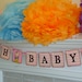 Oh Baby- Chevron Design-  Baby Girl-Shower Banner-Garland-Decoration-One Of A kind design-