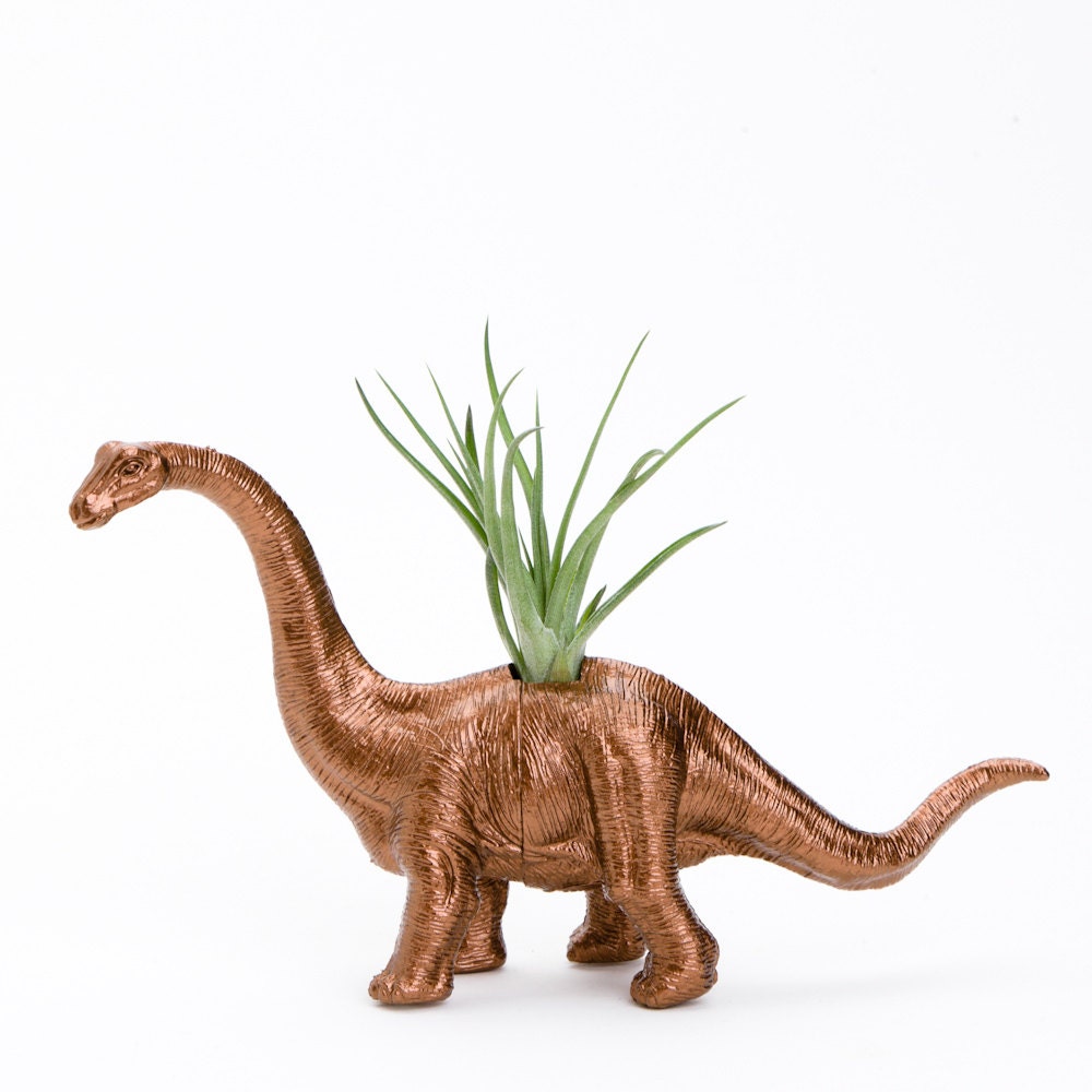 Small Dinosaur Planter Room Decor, College Dorm Geekery, Plant Pot, Dino