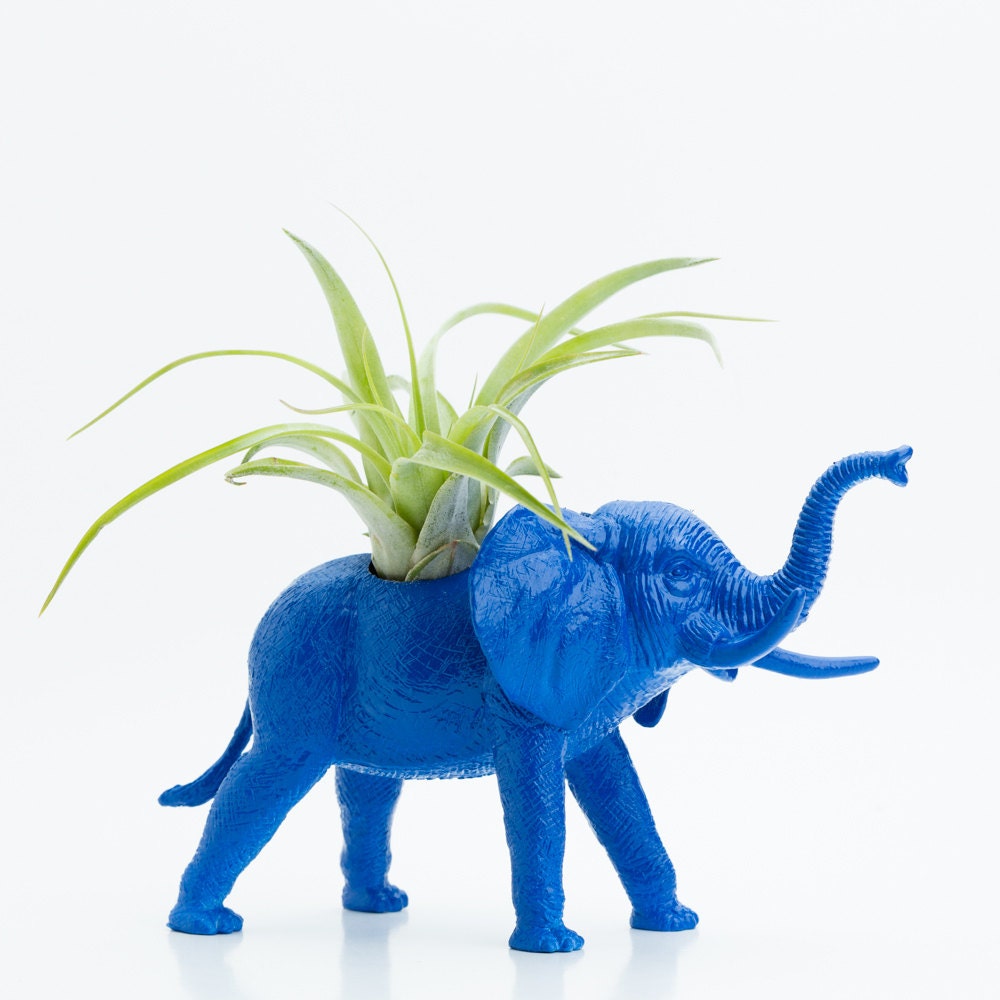 Elephant Planter with Air Plant Room Decor, College Dorm Ornament, Plants and Edibles, Blue Safari Animal