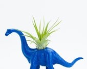 Small Dinosaur Planter with Air Plant Room Decor, College Dorm Geekery, Blue Dino Planter