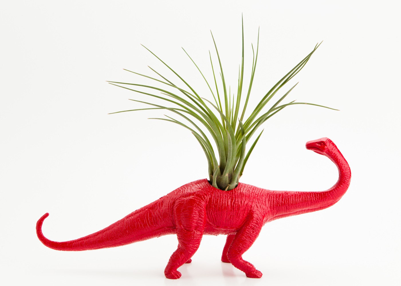 Tillandsia Dinosaur Planter with Air Plant Room Decor, Red College Dorm Ornament, Plants and Edibles, Red Toy Geekery - boygirltees