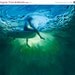 ON SALE Limited Edition - GICLEE Fine Art Reproduction on 16x12 Canvas - Big Blue Deep