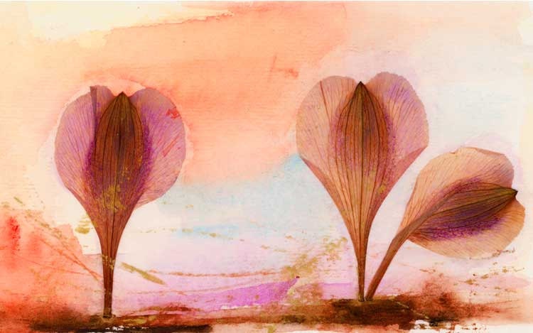 Alstroemeria petals watercolor landscape collage-Large Archival Print, Desire