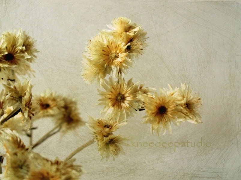 Rustic Flowers photograph vintage golden warmth 8x10 fine art farmhouse wall decor