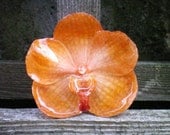REAL Natural Orange ORCHID Pin and Pendant