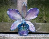 REAL Natural Bold Shades of Blue and Purple Peacock ORCHID Pin and Pendant
