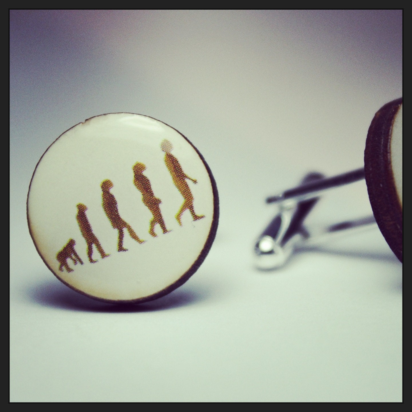 Evolution Darwin Cufflinks
