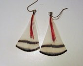 White natural Feather Earrings with crest