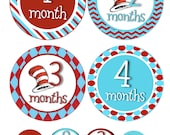 IRON ONS - 12 Monthly baby onesie iron on heat transfer - for Baby - Dr. Seuss inspired