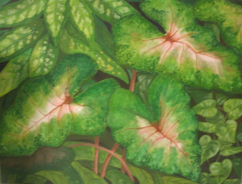 Tropical Closeup Original Oil Painting 18 in x 24 in stretched canvas NOT A PRINT