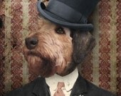 Airedale Terrier Art Animal Photography Dog Artwork Portrait Photography 8x12 Print - Sir Winston