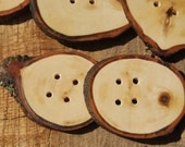 Wooden Buttons, 5 Maple Tree Branch, 4 Holes, 2 1/8 - 2 1/2 Inches