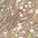 Citizen of the Galaxy - hand marbled paper