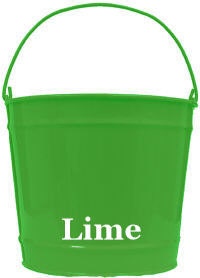 SALE Inventory Reduction Lime Pail