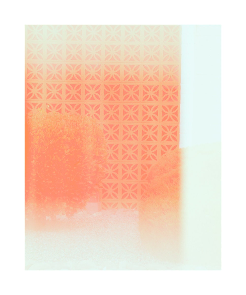 Minimalist, mid-century modern architectural block patterned garden wall, 8x10 photograph salmon and aqua