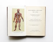 This Wonderful Machine - Antique Human Bodies Book - Vintage - 1904 - Illustrated - School Textbook - Anatomy -  Physiology - Red