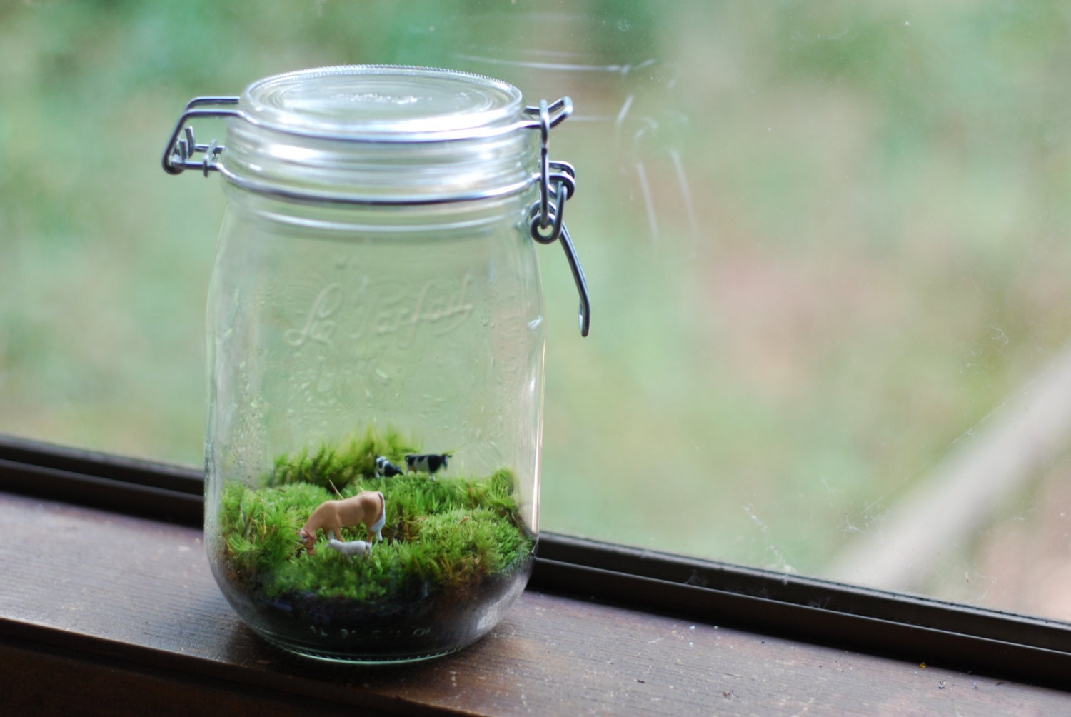 moss terrarium miniature farm