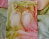 Waldorf inspired -   Set of 6 -     Star Angel Postcards