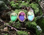 Walnut babies  -   Waldorf inspired